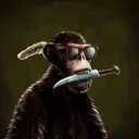 adapePackardCox