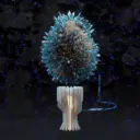 ZeitakuDragonzEgg971