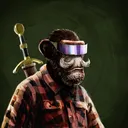 adapeCharlemagneCortes