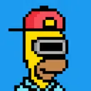 HomerPunks648