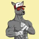 kangaroofightsociety#1986