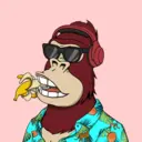 ChilledKong4241