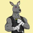 kangaroofightsociety#1275