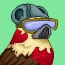 Hawk #0652