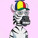 ZESTYZEBRA2347