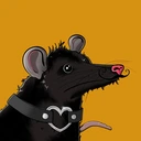 Possum #4667
