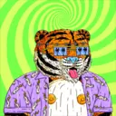 Tigerz0236