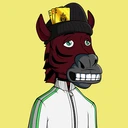 ZESTYZEBRA702
