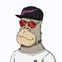 ChilledKong3812