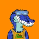 CardanoCrocsClub1079