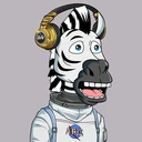 ZESTYZEBRA710