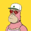ChilledKong3342
