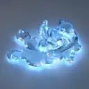 PawsCustomsII97