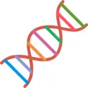 DNA