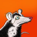 Possum #4033