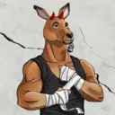kangaroofightsociety#381