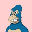ChilledKong1197
