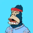 ChilledKong7084