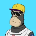 ChilledKong2952