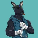 kangaroofightsociety#2529