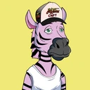 ZESTYZEBRA2224