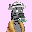 ZESTYZEBRA1881