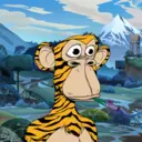CardanoBoredApe711