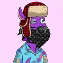 ZESTYZEBRA1272