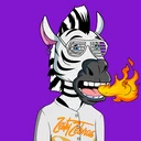 ZESTYZEBRA5347