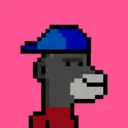 MonkeyWifhat3545