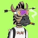 ZESTYZEBRA654