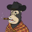 ChilledKong0448