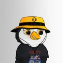 tappy1737