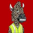 ZESTYZEBRA3992
