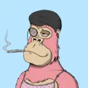 ChilledKong5417