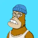 ChilledKong2959