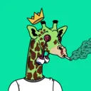 GenuineGiraffe_1643