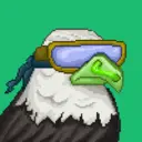 Hawk #0283