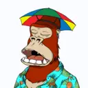 ChilledKong2393
