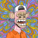 CardanoBoredApe4043