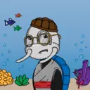 TTSTurtle3272
