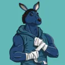 kangaroofightsociety#4507