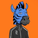 ZESTYZEBRA4296