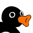 NOOT