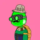 TTSTurtle228