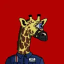 GenuineGiraffe_3559