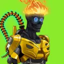 Fomobot4918