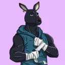 kangaroofightsociety#3375
