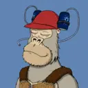 ChilledKong3461