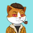CATSTANBUL623
